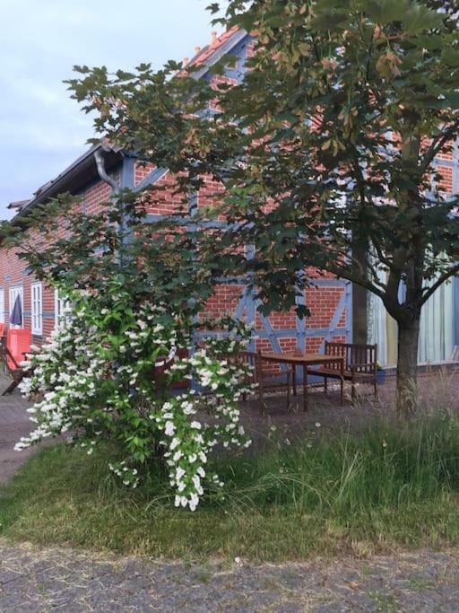 Entspannung In Der Schoenen Lueneburger Heide Gohrde Kültér fotó