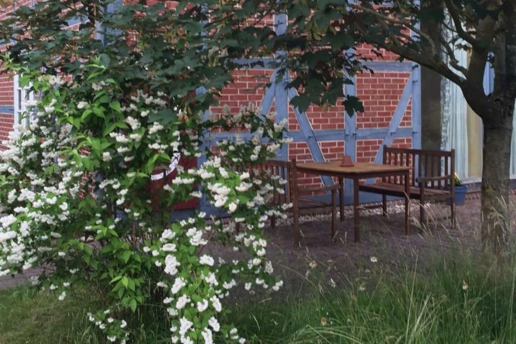 Entspannung In Der Schoenen Lueneburger Heide Gohrde Kültér fotó